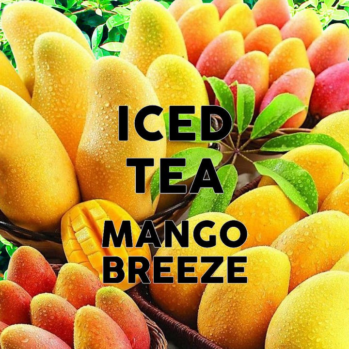 4 Oz. Tea IBIS MOON Mango Breeze - 24/Case