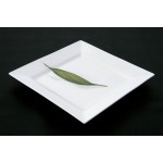 10'' Ceramic Square Plate, White, Ceramic  - 1/Case