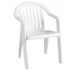 Lowback Armchair, Miami White - 4/Case