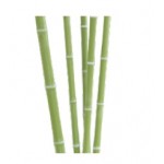 ONETHATCH BAMBOO POLE 50mm AGED GREEN