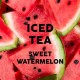 2/1.25 Oz. Tea Sweet Brew Watermelon - 20/Case