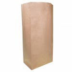 11.4 Ltr, 205x445x125 mm Brown Block Bottom Paper Bag - 200/Case