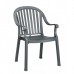 Colombo Dining Armchair Charcoal - 4/Case