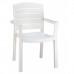 Acadia Classic Dining Armchair White - 4/Case